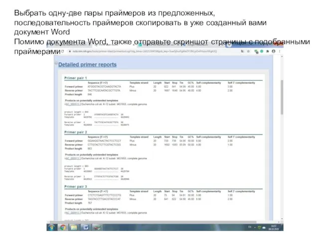 Выбрать одну-две пары праймеров из предложенных, последовательность праймеров скопировать в уже