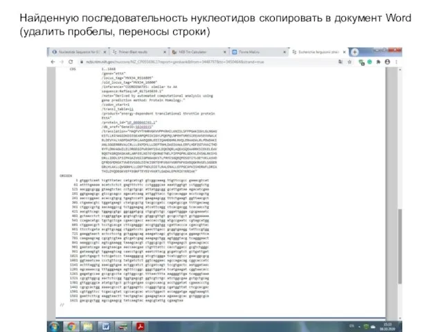 Найденную последовательность нуклеотидов скопировать в документ Word (удалить пробелы, переносы строки)