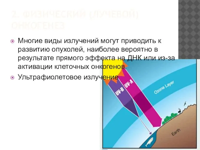 2. ФИЗИЧЕСКИЙ (ЛУЧЕВОЙ) ОНКОГЕНЕЗ Многие виды излучений могут приводить к развитию