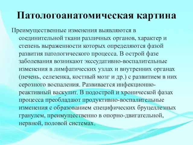 Патологоанатомическая картина Преимущественные изменения выявляются в соединительной ткани различных органов, характер