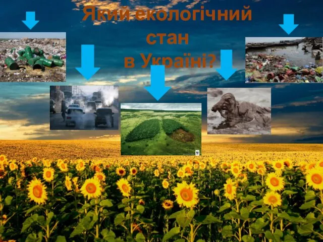 Який екологічний стан в Україні?