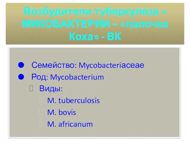 Возбудители туберкулеза = МИКОБАКТЕРИИ – «палочка Коха» - ВК Семейство: Mycobacteriасеае