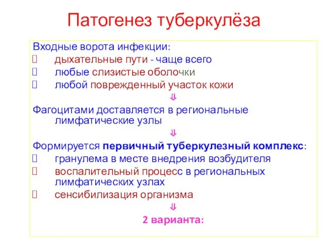 Патогенез туберкулёза Входные ворота инфекции: дыхательные пути - чаще всего любые