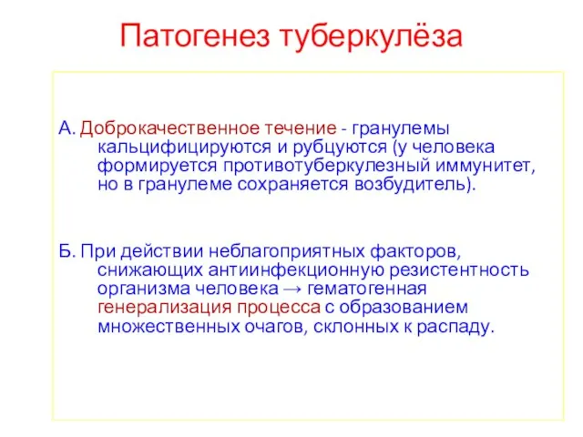 Патогенез туберкулёза А. Доброкачественное течение - гранулемы кальцифицируются и рубцуются (у