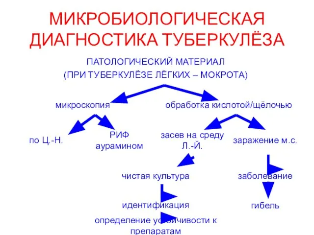 МИКРОБИОЛОГИЧЕСКАЯ ДИАГНОСТИКА ТУБЕРКУЛЁЗА