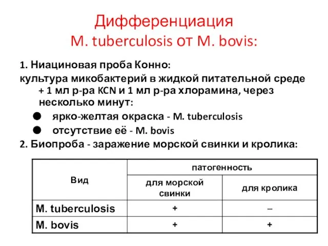 Дифференциация M. tuberculosis от M. bovis: 1. Ниациновая проба Конно: культура