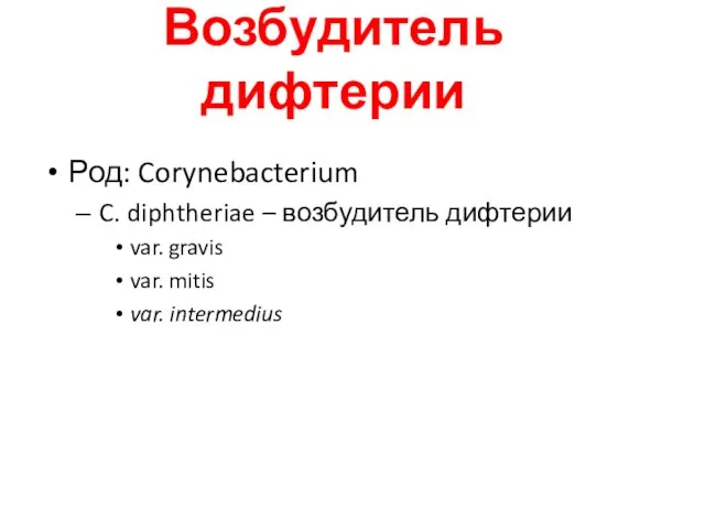 Возбудитель дифтерии Коринебактерии Род: Corynebacterium C. diphtheriae – возбудитель дифтерии var. gravis var. mitis var. intermedius