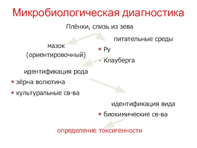 Микробиологическая диагностика