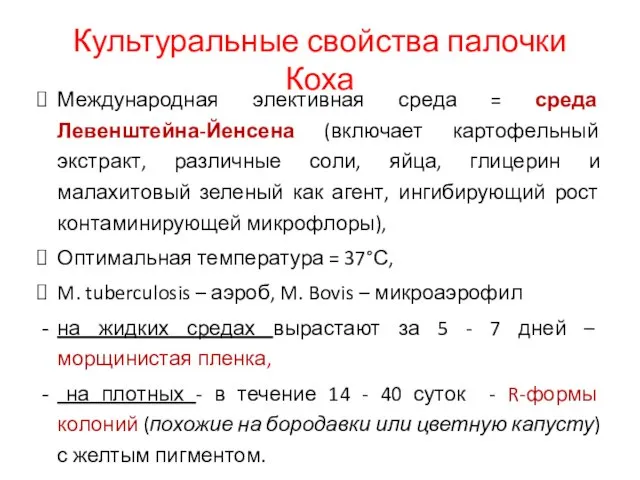 Культуральные свойства палочки Коха Международная элективная среда = среда Левенштейна-Йенсена (включает