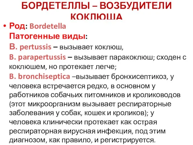 БОРДЕТЕЛЛЫ – ВОЗБУДИТЕЛИ КОКЛЮША Род: Bordetella Патогенные виды: В. pertussis –