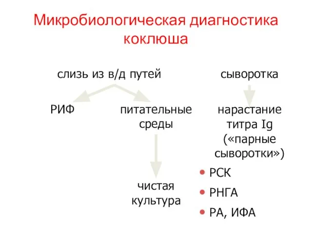 Микробиологическая диагностика коклюша