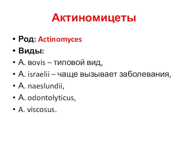 Актиномицеты Род: Actinomyces Виды: А. вovis – типовой вид, А. israelii