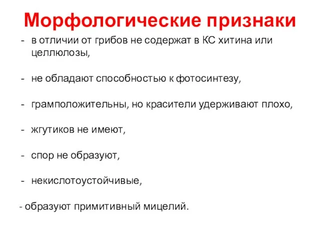 Морфологические признаки в отличии от грибов не содержат в КС хитина