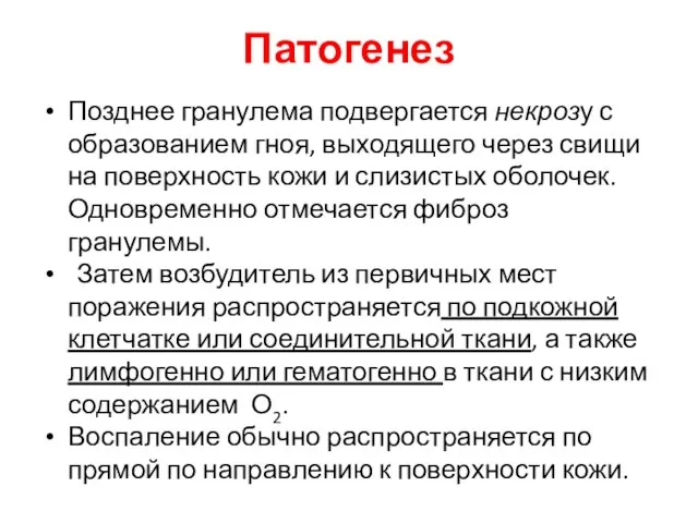 Патогенез Позднее гранулема подвергается некрозу с образованием гноя, выходящего через свищи