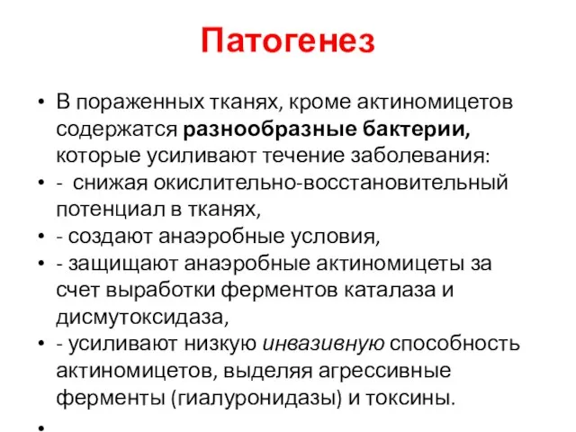 Патогенез В пораженных тканях, кроме актиномицетов содержатся разнообразные бактерии, которые усиливают