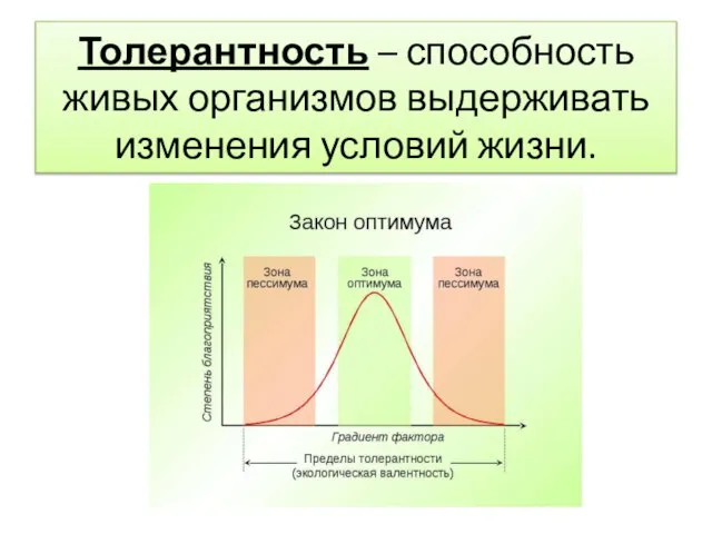 Толерантность – способность живых организмов выдерживать изменения условий жизни.