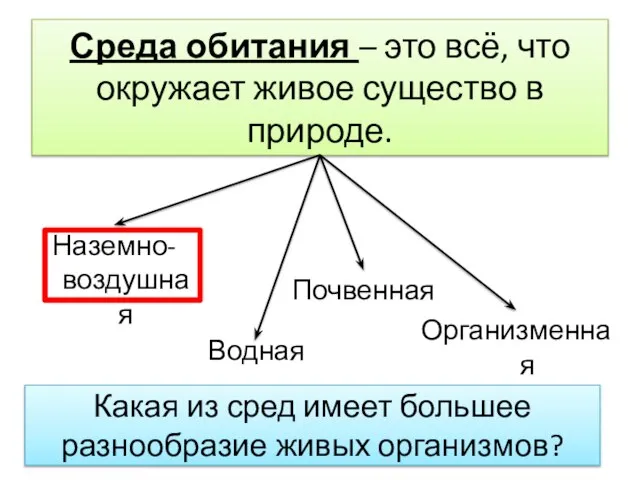 Среда обитания – это всё, что окружает живое существо в природе.