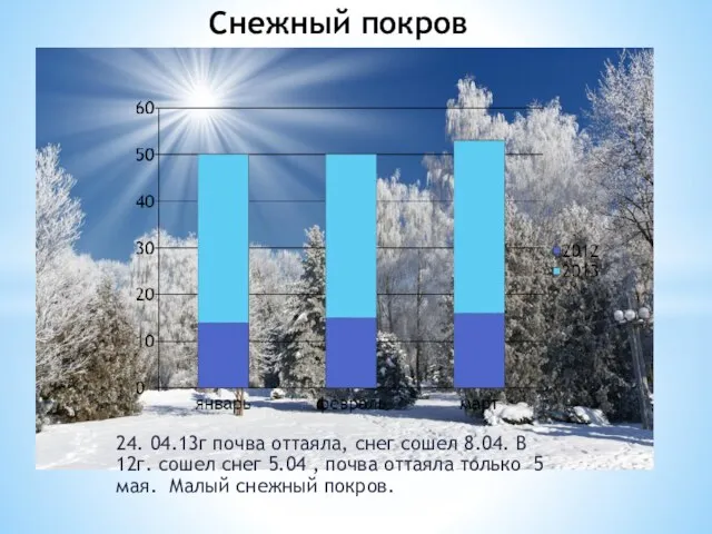 Снежный покров 24. 04.13г почва оттаяла, снег сошел 8.04. В 12г.