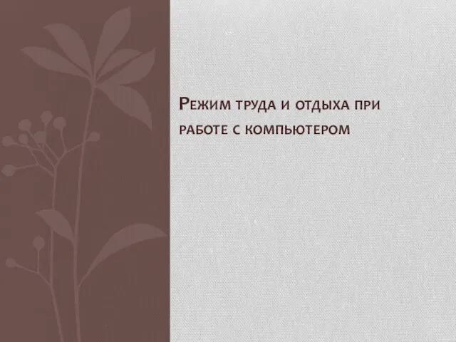 Режим труда и отдыха при работе с компьютером