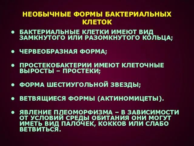 НЕОБЫЧНЫЕ ФОРМЫ БАКТЕРИАЛЬНЫХ КЛЕТОК БАКТЕРИАЛЬНЫЕ КЛЕТКИ ИМЕЮТ ВИД ЗАМКНУТОГО ИЛИ РАЗОМКНУТОГО