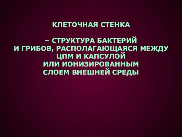 КЛЕТОЧНАЯ СТЕНКА – СТРУКТУРА БАКТЕРИЙ И ГРИБОВ, РАСПОЛАГАЮЩАЯСЯ МЕЖДУ ЦПМ И