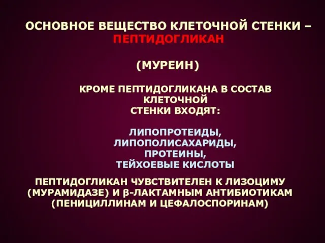 КРОМЕ ПЕПТИДОГЛИКАНА В СОСТАВ КЛЕТОЧНОЙ СТЕНКИ ВХОДЯТ: ЛИПОПРОТЕИДЫ, ЛИПОПОЛИСАХАРИДЫ, ПРОТЕИНЫ, ТЕЙХОЕВЫЕ