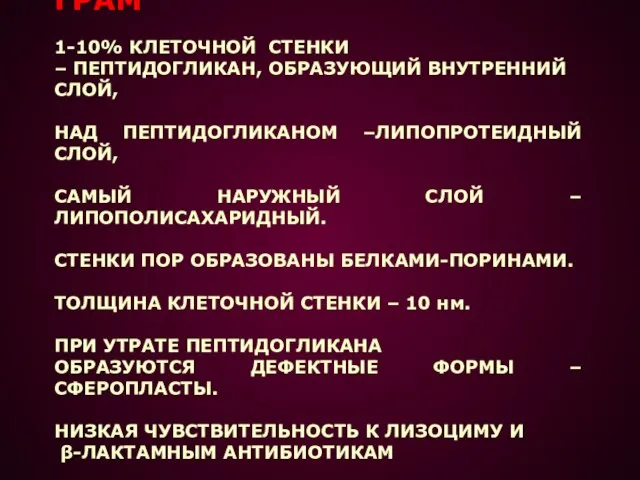 ГРАМ - 1-10% КЛЕТОЧНОЙ СТЕНКИ – ПЕПТИДОГЛИКАН, ОБРАЗУЮЩИЙ ВНУТРЕННИЙ СЛОЙ, НАД