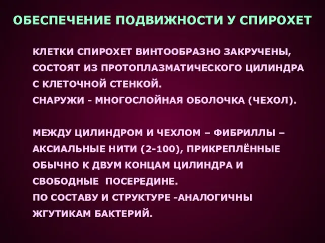 КЛЕТКИ СПИРОХЕТ ВИНТООБРАЗНО ЗАКРУЧЕНЫ, СОСТОЯТ ИЗ ПРОТОПЛАЗМАТИЧЕСКОГО ЦИЛИНДРА С КЛЕТОЧНОЙ СТЕНКОЙ.