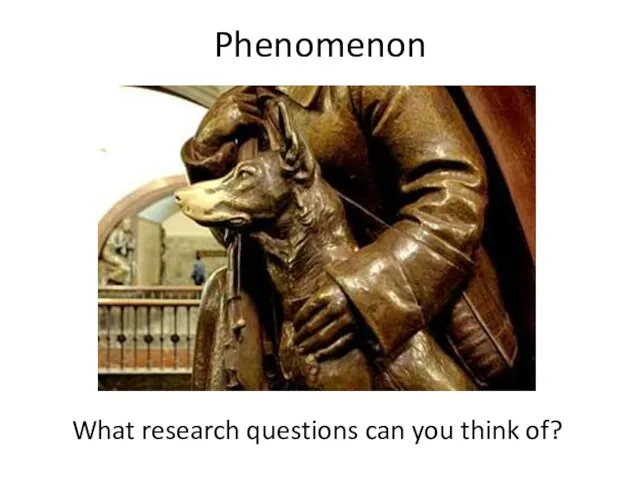Phenomenon What research questions can you think of?