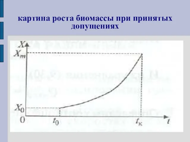 картина роста биомассы при принятых допущениях