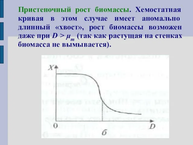 Пристеночный рост биомассы. Хемостатная кривая в этом случае имеет аномально длинный