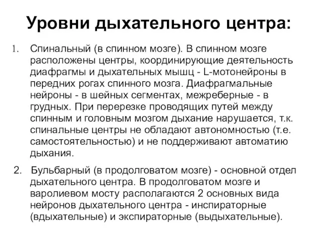 Уровни дыхательного центра: Спинальный (в спинном мозге). В спинном мозге расположены