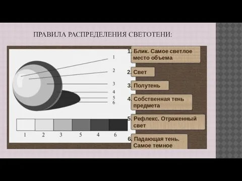 ПРАВИЛА РАСПРЕДЕЛЕНИЯ СВЕТОТЕНИ: