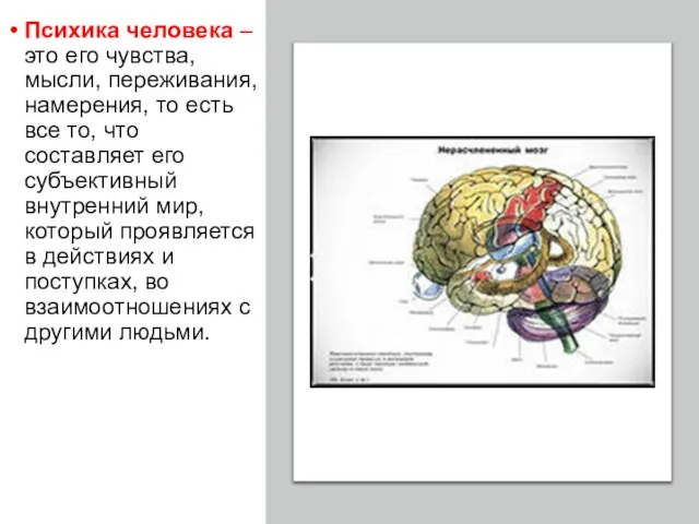 Психика человека – это его чувства, мысли, переживания, намерения, то есть