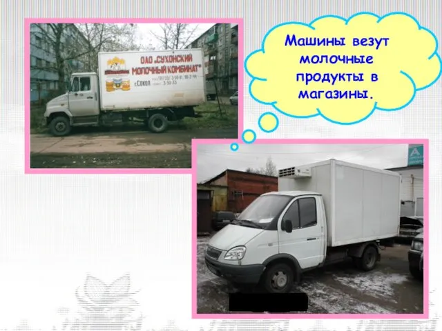 Машины везут молочные продукты в магазины.