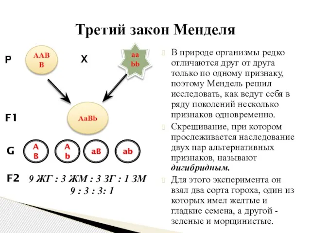 В природе организмы редко отличаются друг от друга только по одному