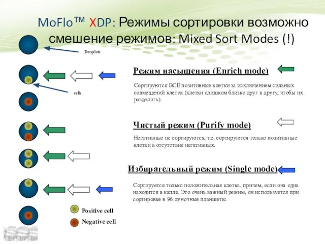 Режим насыщения (Enrich mode) Сортируются ВСЕ позитивные клетки за исключением сильных