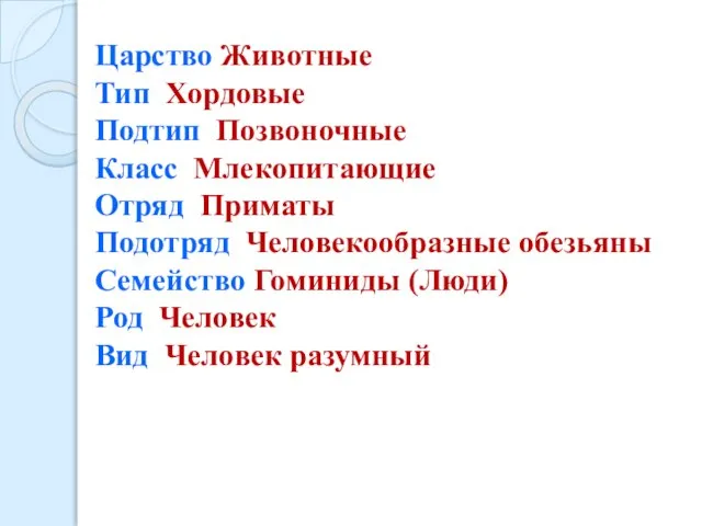 Царство Животные Тип Хордовые Подтип Позвоночные Класс Млекопитающие Отряд Приматы Подотряд