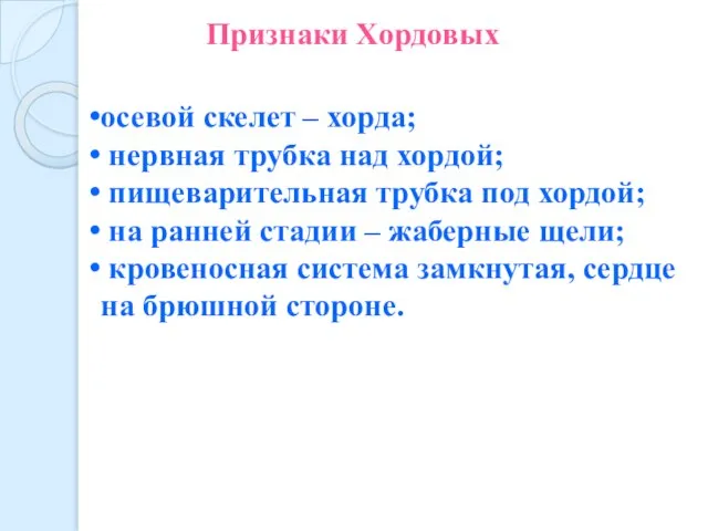 Признаки Хордовых осевой скелет – хорда; нервная трубка над хордой; пищеварительная