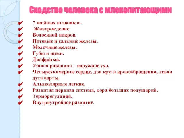 7 шейных позвонков. Живорождение. Волосяной покров. Потовые и сальные железы. Молочные