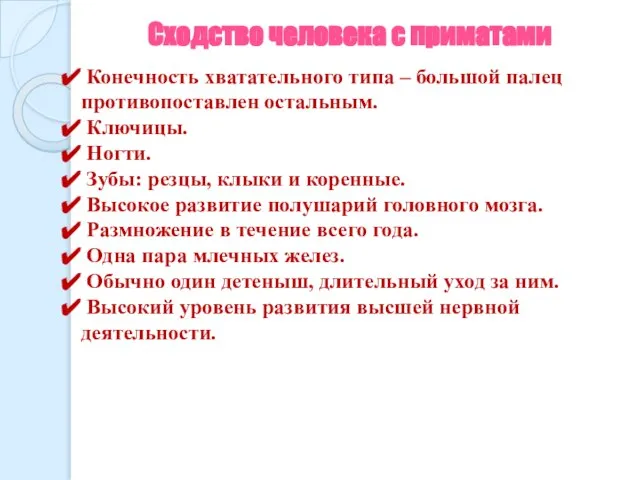 Сходство человека с приматами Конечность хватательного типа – большой палец противопоставлен