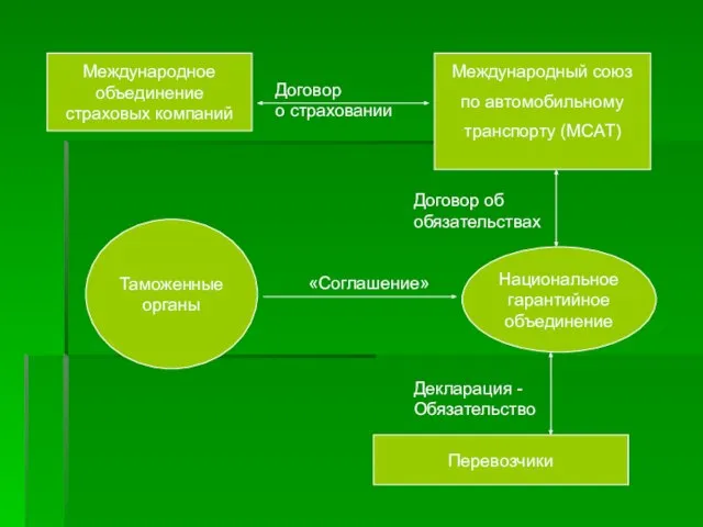 Национальное гарантийное объединение Таможенные органы Перевозчики Международное объединение страховых компаний Международный