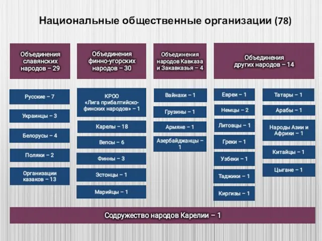 Национальные общественные организации (78)