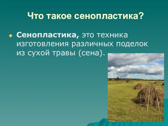 Что такое сенопластика? Сенопластика, это техника изготовления различных поделок из сухой травы (сена).