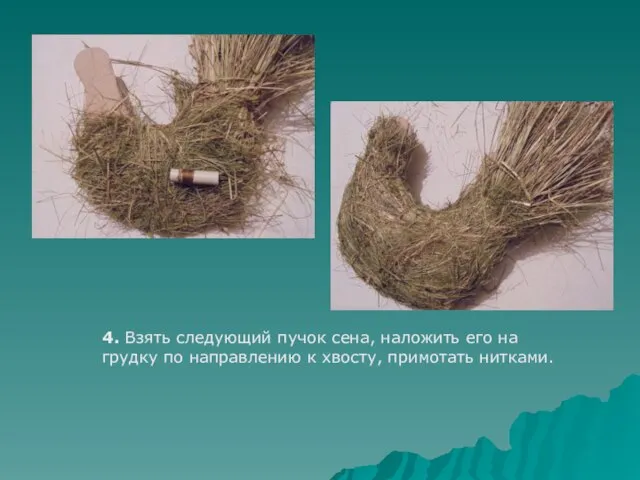 4. Взять следующий пучок сена, наложить его на грудку по направлению к хвосту, примотать нитками.