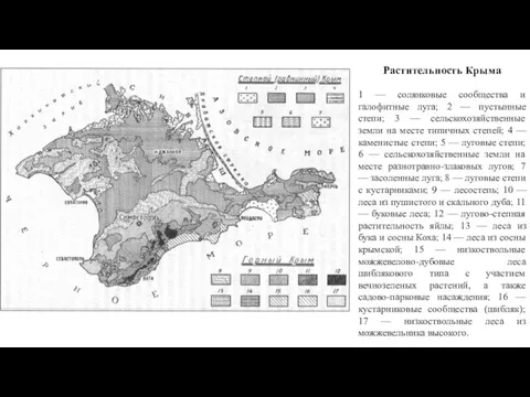 Растительность Крыма 1 — солянковые сообщества и галофитные луга; 2 —