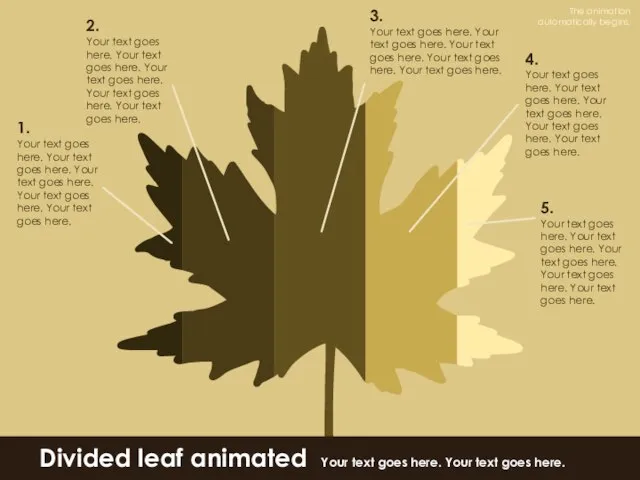 Divided leaf animated Your text goes here. Your text goes here.