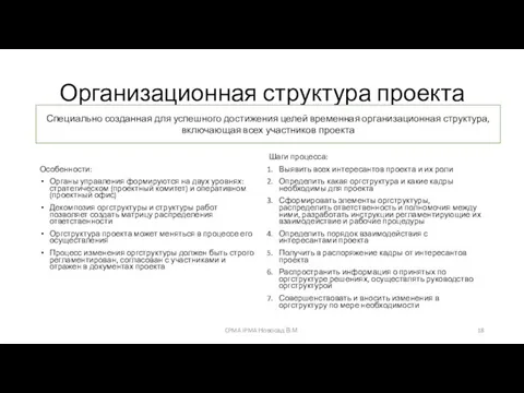 Организационная структура проекта Особенности: Органы управления формируются на двух уровнях: стратегическом