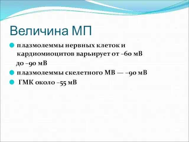 Величина МП плазмолеммы нервных клеток и кардиомиоцитов варьирует от –60 мВ