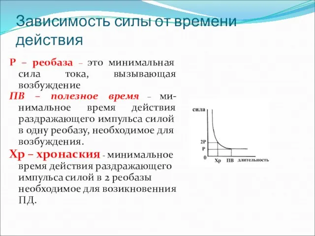 Зависимость силы от времени действия Р – реобаза – это минимальная